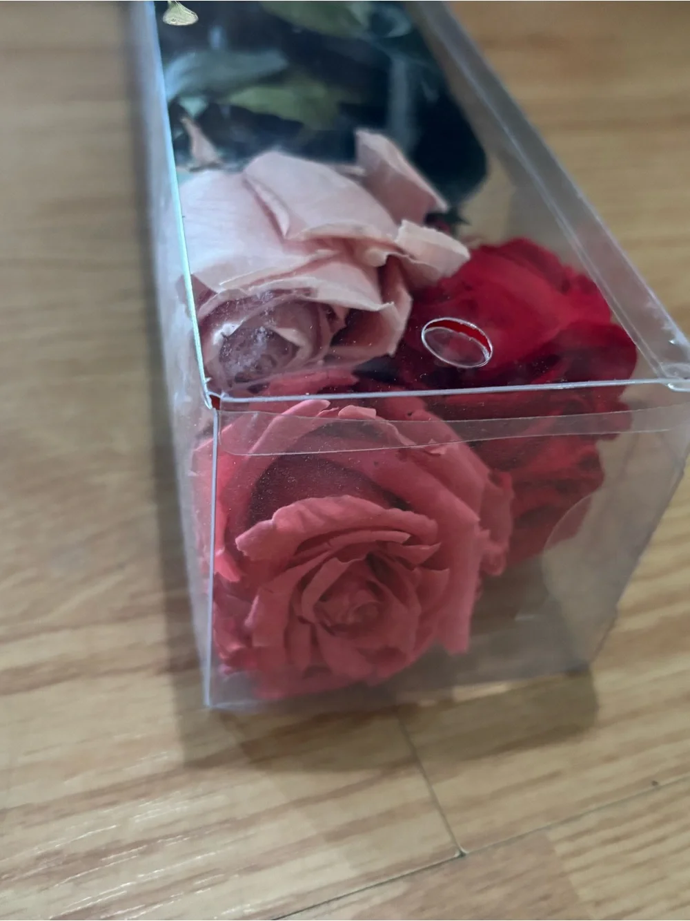 N/A preserved rose